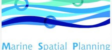Paving the Road to Marine Spatial Planning in the Mediterranean
