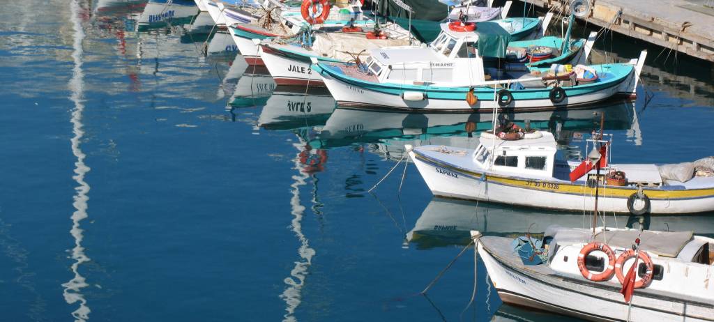 Strengthening the regional dimension of MSP: Mediterranean perspectives in EU Ocean Act discussions