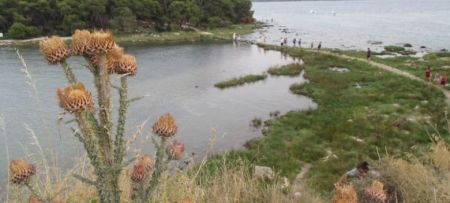 Fascinating coastal landscape