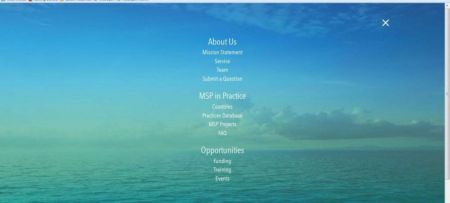 Welcome to EU MSP new website!