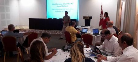 MAVA for the Mediterranean coastal wetlands