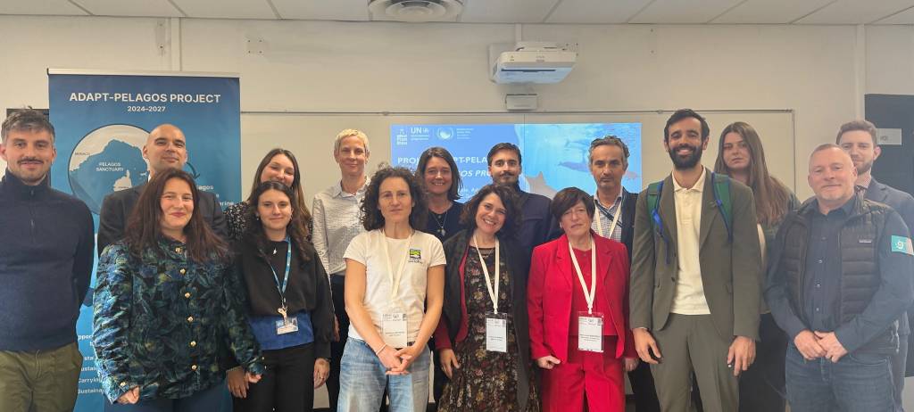 PAP/RAC contributes to discussions on sustainable tourism in the Pelagos Sanctuary