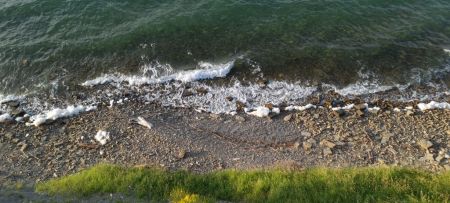 Mediterranean countries work towards stronger transboundary marine and coastal cooperation on environmental assessments